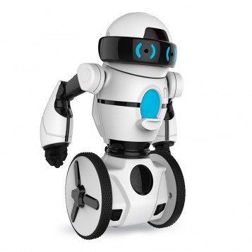 Interaktywny robot balansujący MIP